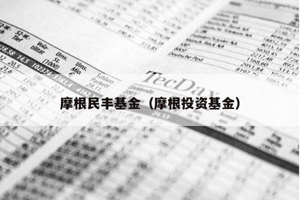 摩根民丰基金（摩根投资基金）