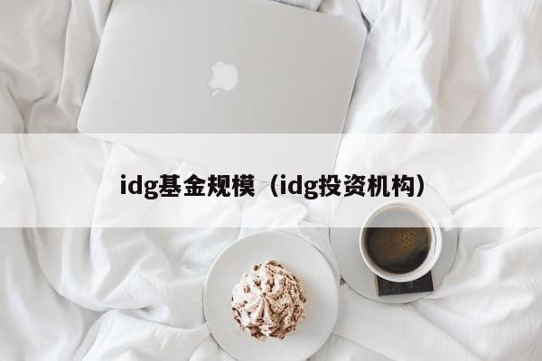 idg基金规模（idg投资机构）