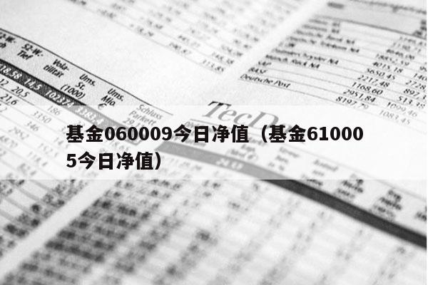 基金060009今日净值（基金610005今日净值）