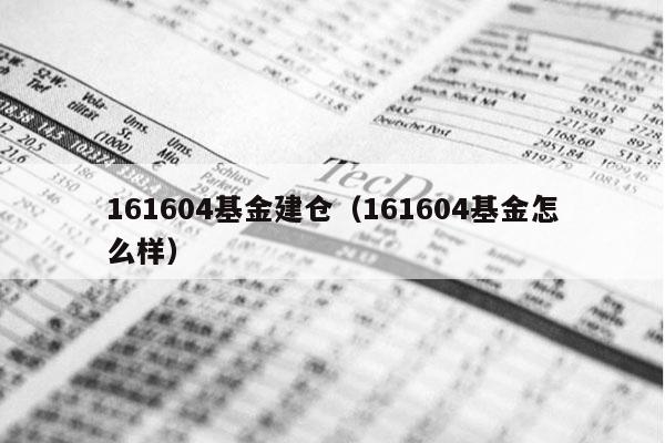 161604基金建仓（161604基金怎么样）