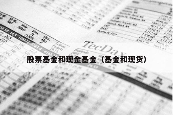 股票基金和现金基金（基金和现货）