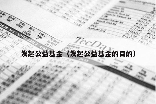 发起公益基金（发起公益基金的目的）