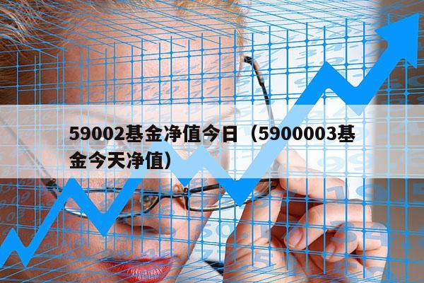 59002基金净值今日（5900003基金今天净值）