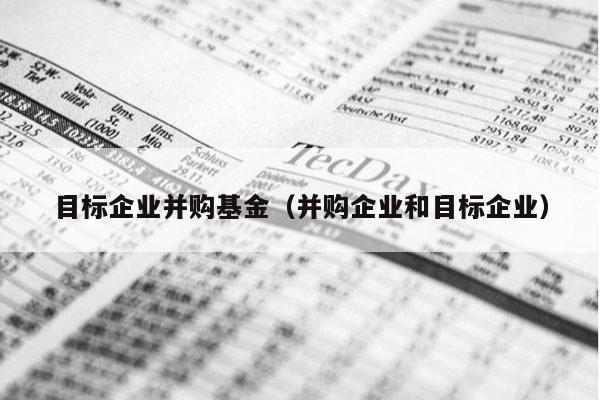 目标企业并购基金（并购企业和目标企业）