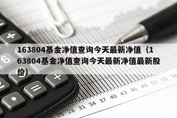 163804基金净值查询今天最新净值（163804基金净值查询今天最新净值最新股价）