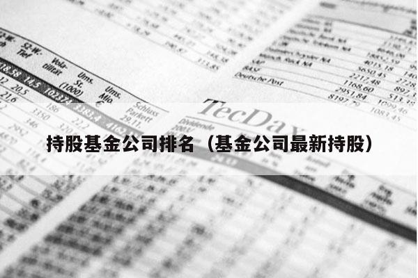 持股基金公司排名（基金公司最新持股）