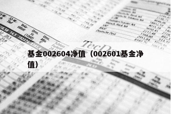 基金002604净值（002601基金净值）