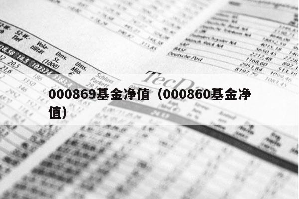 000869基金净值（000860基金净值）