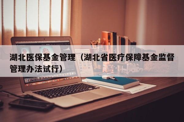 湖北医保基金管理（湖北省医疗保障基金监督管理办法试行）