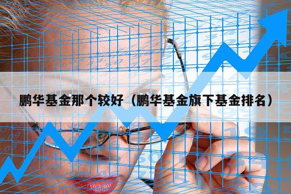 鹏华基金那个较好（鹏华基金旗下基金排名）