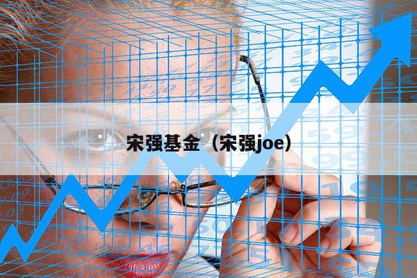 宋强基金（宋强joe）