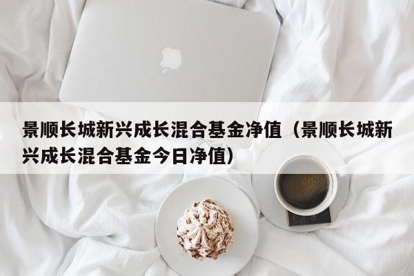 景顺长城新兴成长混合基金净值（景顺长城新兴成长混合基金今日净值）