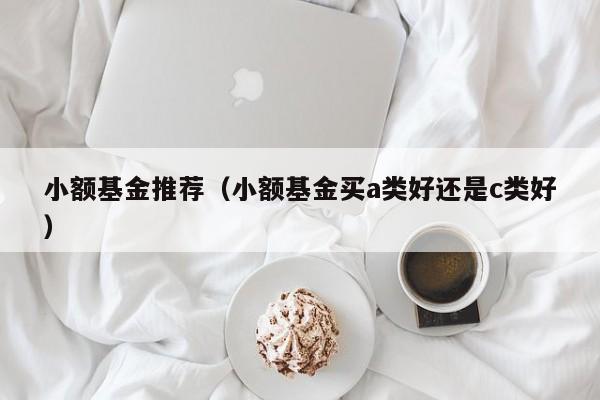 小额基金推荐（小额基金买a类好还是c类好）