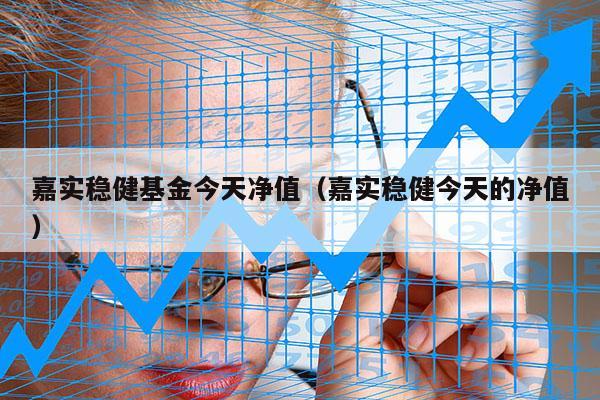 嘉实稳健基金今天净值（嘉实稳健今天的净值）