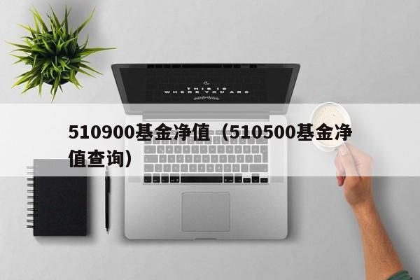 510900基金净值（510500基金净值查询）