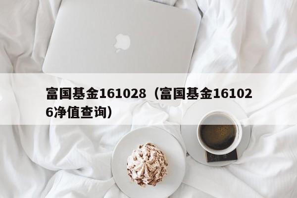 富国基金161028（富国基金161026净值查询）