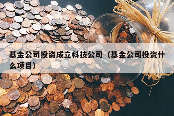 基金公司投资成立科技公司（基金公司投资什么项目）