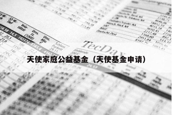 天使家庭公益基金（天使基金申请）