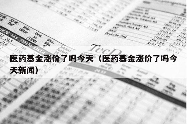 医药基金涨价了吗今天（医药基金涨价了吗今天新闻）