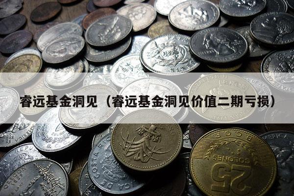 睿远基金洞见（睿远基金洞见价值二期亏损）