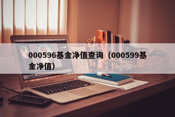 000596基金净值查询（000599基金净值）