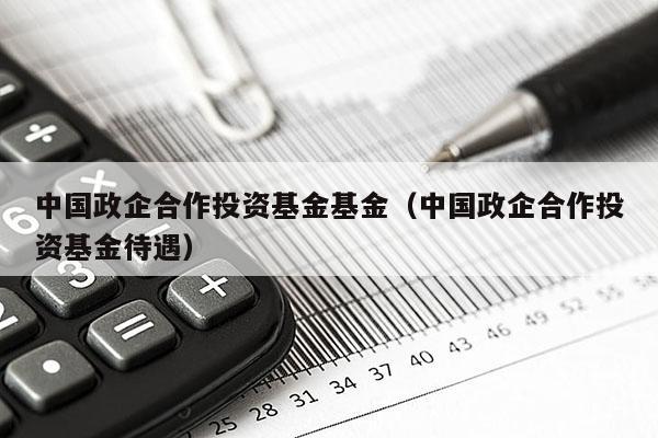 中国政企合作投资基金基金（中国政企合作投资基金待遇）