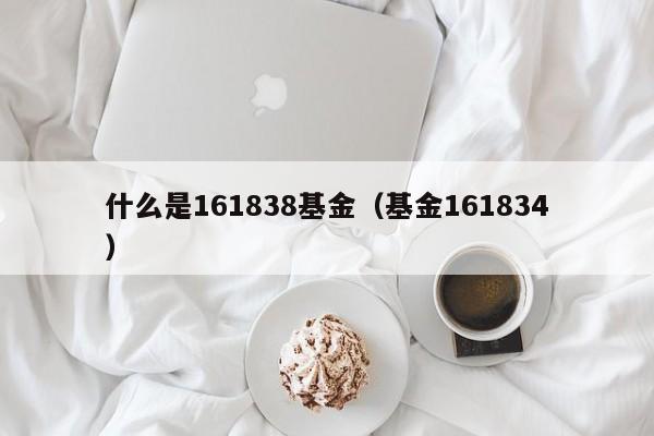 什么是161838基金（基金161834）