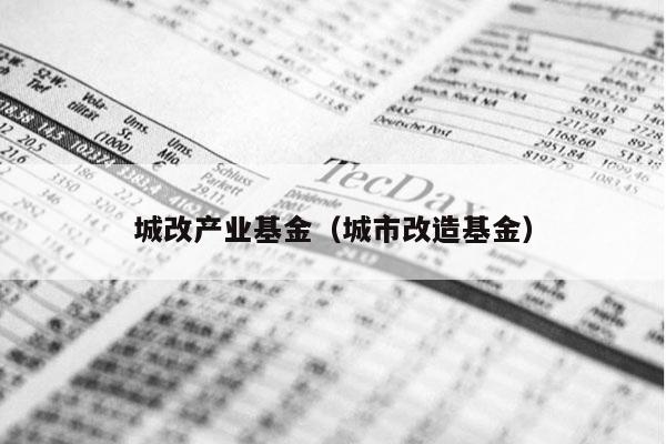 城改产业基金（城市改造基金）