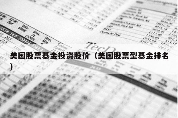美国股票基金投资股价（美国股票型基金排名）