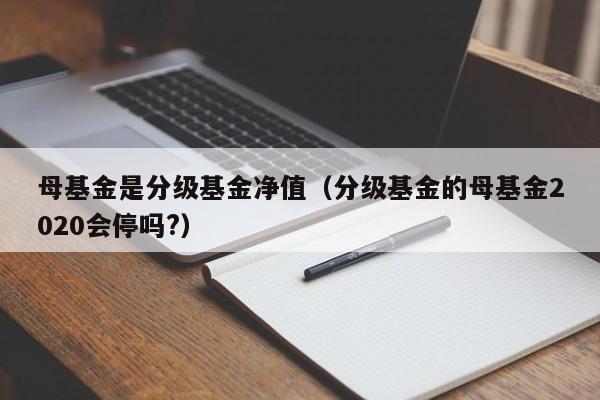 母基金是分级基金净值（分级基金的母基金2020会停吗?）
