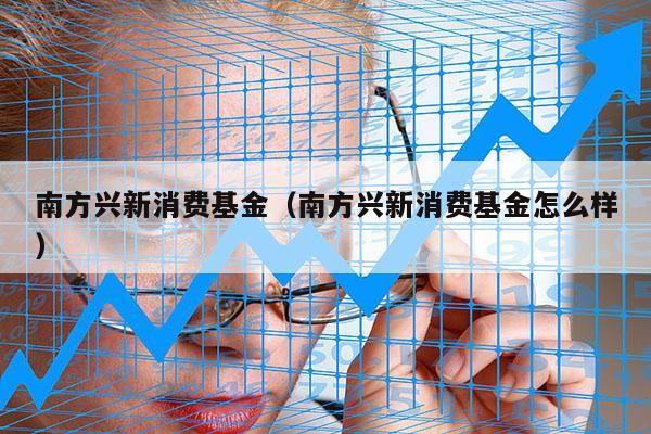 南方兴新消费基金（南方兴新消费基金怎么样）