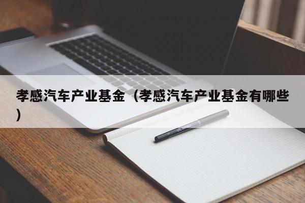 孝感汽车产业基金（孝感汽车产业基金有哪些）