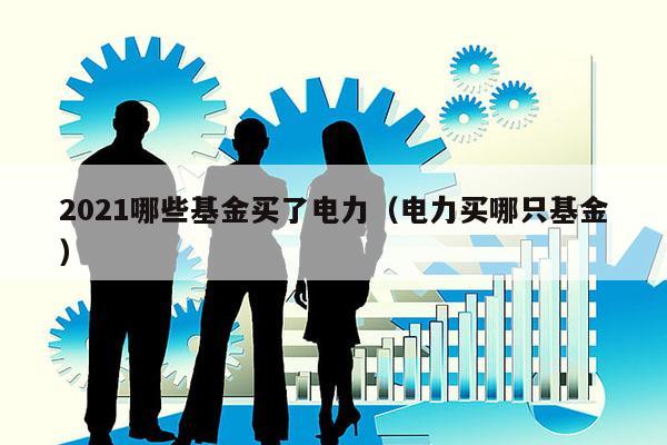 2021哪些基金买了电力（电力买哪只基金）