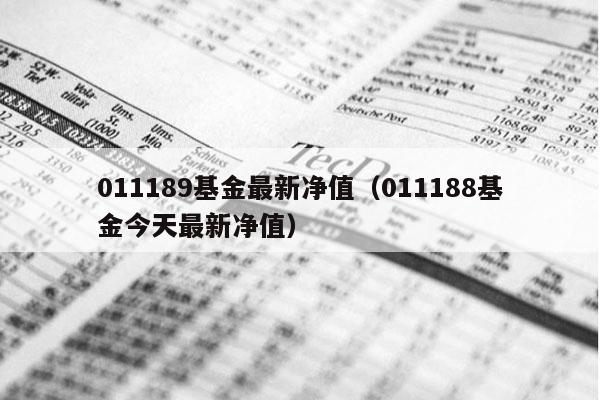 011189基金最新净值（011188基金今天最新净值）