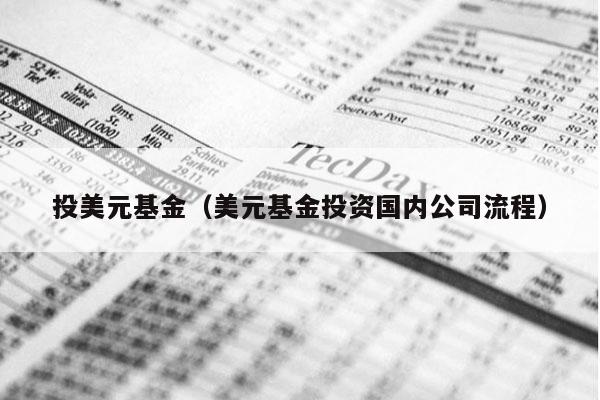投美元基金（美元基金投资国内公司流程）