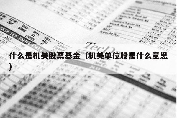 什么是机关股票基金（机关单位股是什么意思）