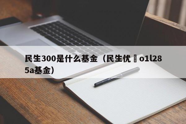 民生300是什么基金（民生优侁o1l285a基金）