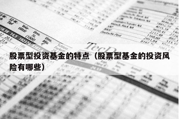 股票型投资基金的特点（股票型基金的投资风险有哪些）