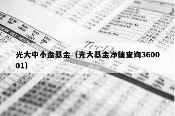 光大中小盘基金（光大基金净值查询360001）