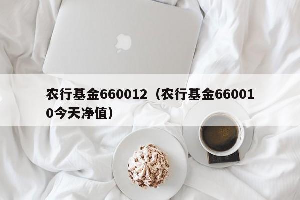 农行基金660012（农行基金660010今天净值）