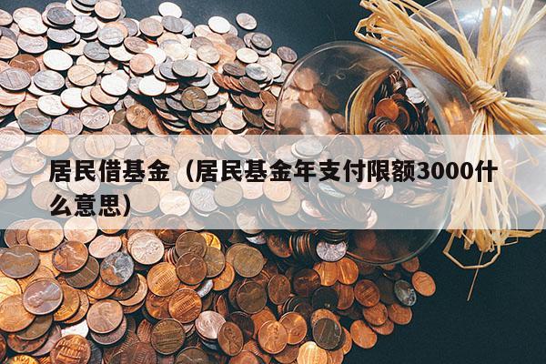 居民借基金（居民基金年支付限额3000什么意思）