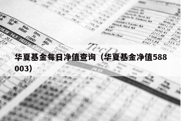 华夏基金每日净值查询（华夏基金净值588003）