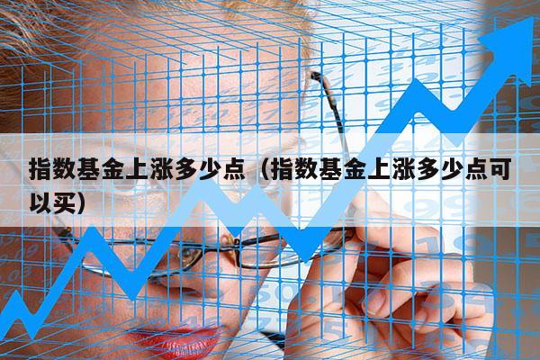 指数基金上涨多少点（指数基金上涨多少点可以买）