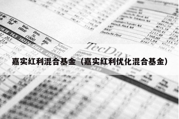 嘉实红利混合基金（嘉实红利优化混合基金）