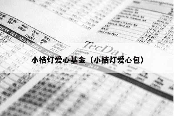 小桔灯爱心基金（小桔灯爱心包）