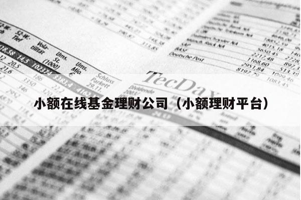 小额在线基金理财公司（小额理财平台）