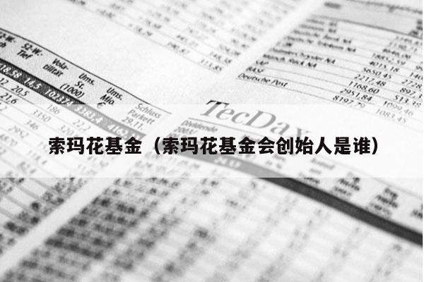 索玛花基金（索玛花基金会创始人是谁）