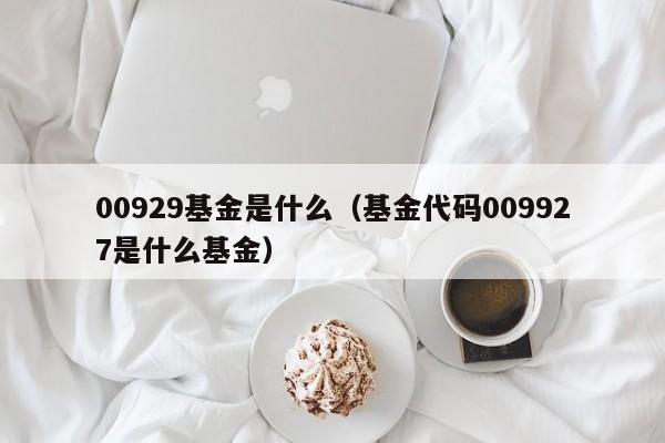 00929基金是什么（基金代码009927是什么基金）