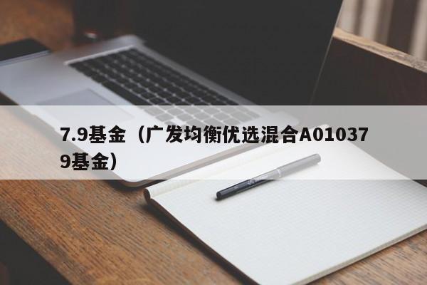 7.9基金（广发均衡优选混合A010379基金）