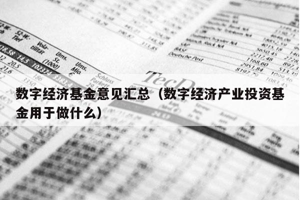 数字经济基金意见汇总（数字经济产业投资基金用于做什么）